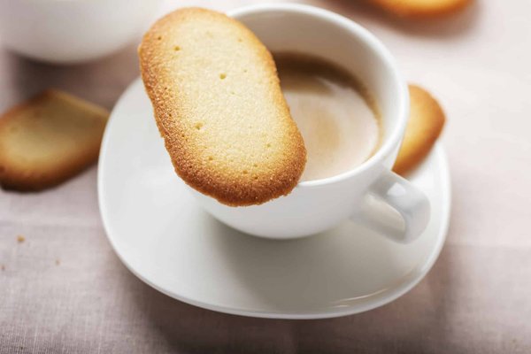 Come posso insegnare a un gatto di razza Cornish Rex a usare correttamente il gattoporta?