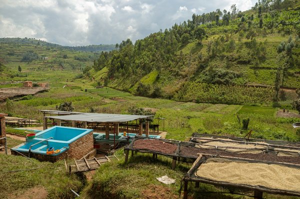 Come realizzare un'installazione artistica interattiva utilizzando materiali riciclati?